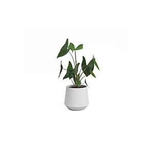 Pot Aurora 11cm - Blanc