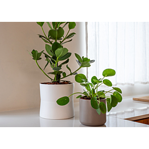 Pot Juno 21cm - Taupe