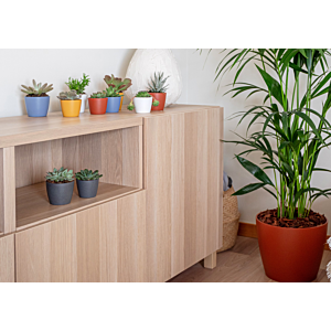 Pot Nubia Cactus 7cm - Anthracite