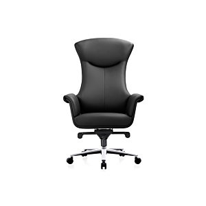 Fauteuil President Huge - Noir