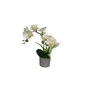 ORCHIDEE ARTIFICIELLE AVEC POT 26x20x50cm - Blanc Plantes et fleurs artificielles