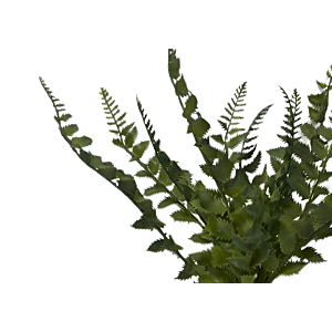 BOUQUET DE FOUGÈRE ARTIFICIELLE - Vert