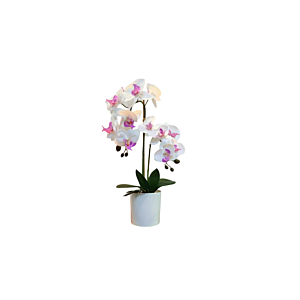 ORCHIDÉE ARTIFICIELLE EN POT 25x25x50cm - Blanc Soldes été vague 2
