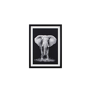 TABLEAU L'ELEPHANT AVEC CADRE - BLANC / NOIR Soldes été vague 2