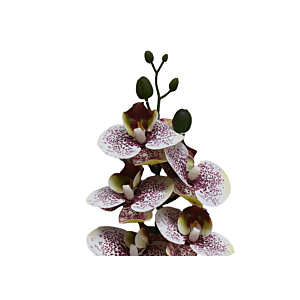 PLANTE ARTIFICIELLE ORCHIDÉE 68CM - MARRON