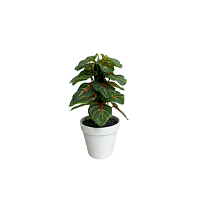 PLANTE ARTIFICIELLE AVEC POT 27CM - VERT Plantes et fleurs artificielles