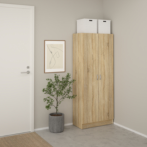 Meuble Multifonction Focus 2 Portes – Chêne – 69,2×34,6×170,4cm