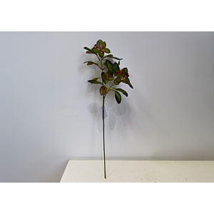 BRANCHE D'EUCALYPTUS ARTIFICIELLE 70cm - Vert