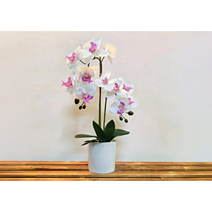 ORCHIDÉE ARTIFICIELLE EN POT 25x25x50cm - Blanc