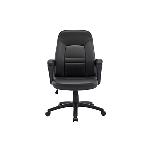Fauteuil Sénateur Ever Seat