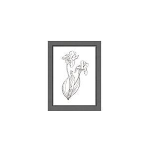 CADRE PHOTO RETRO 13x18cm - GRIS