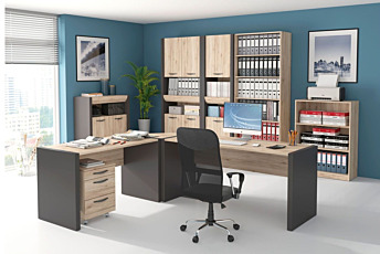 Collection EXECUTIVE